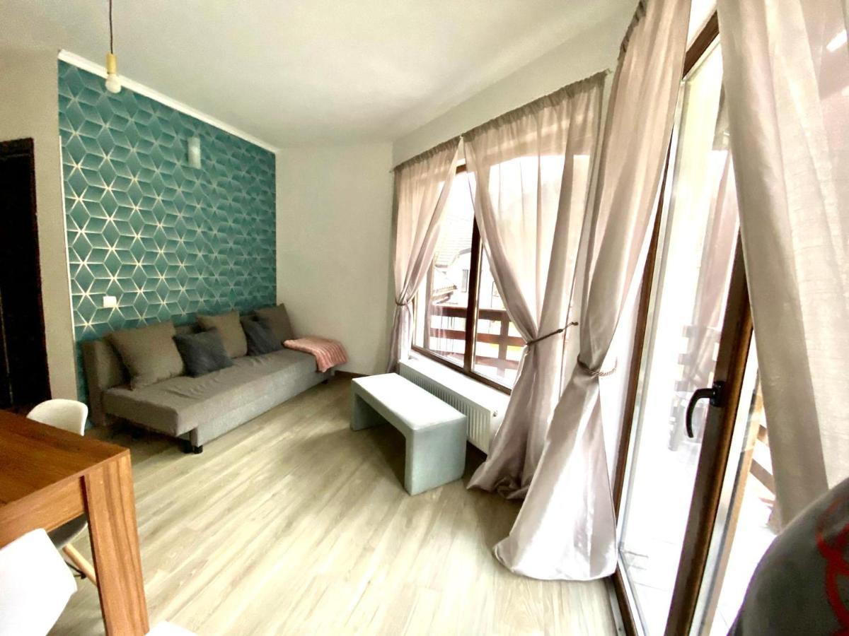 Vila Mama Jana Buşteni Buitenkant foto