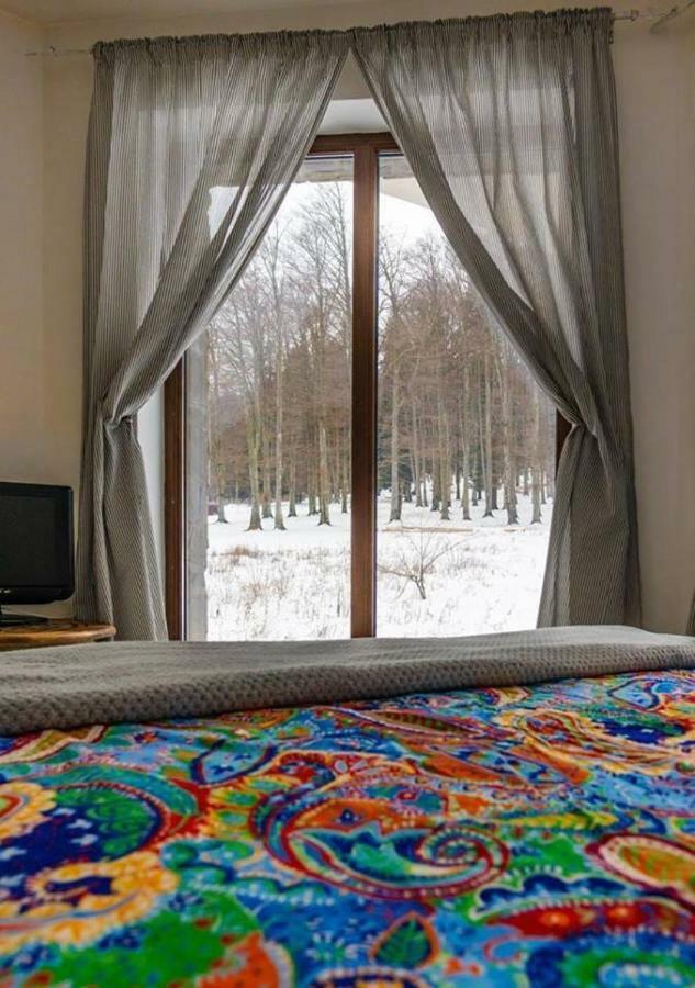 Vila Mama Jana Buşteni Buitenkant foto