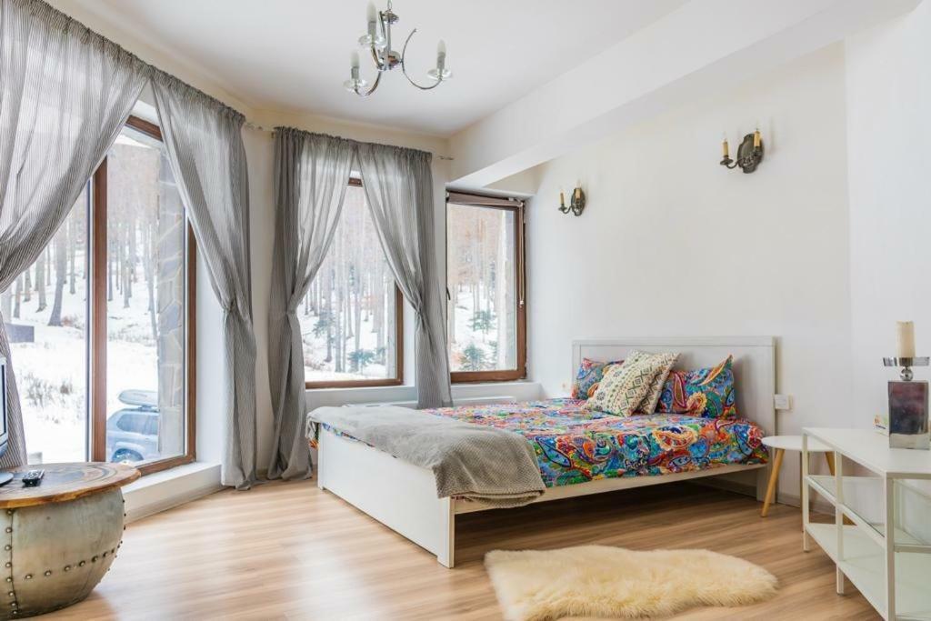 Vila Mama Jana Buşteni Buitenkant foto